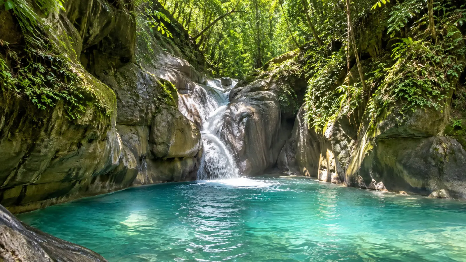 Cascada y piscina natural en un bosque tropical dominicano