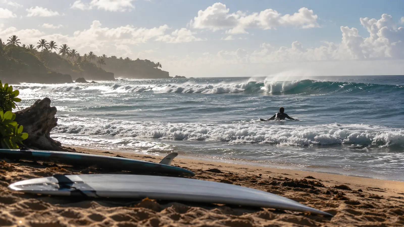 Surfista entrando al océano con su tabla